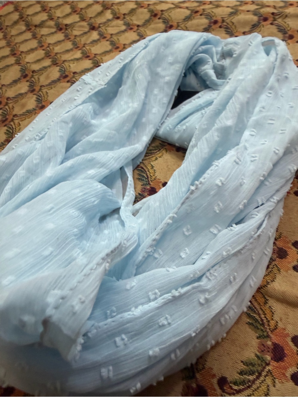 Light Blue Women's Textured Infinity Scarf